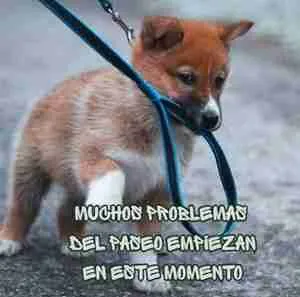 SEMINARIO