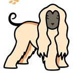 afgano